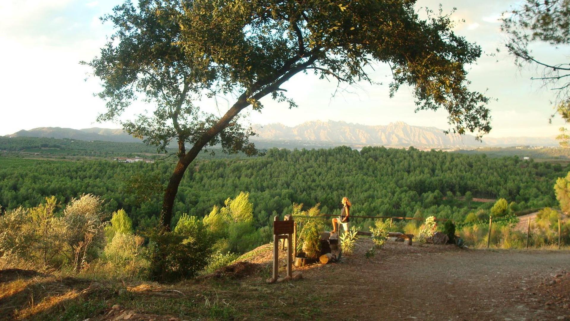 San Quintín de Mediona Comarquinal Bioresort Penedes מראה חיצוני תמונה
